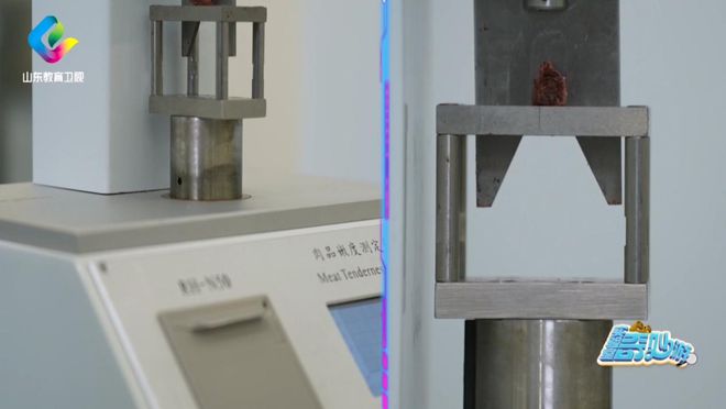 妙游》走进海尔冰箱感受保鲜创新力量！ayx爱游戏体育网页版入口《实验室奇