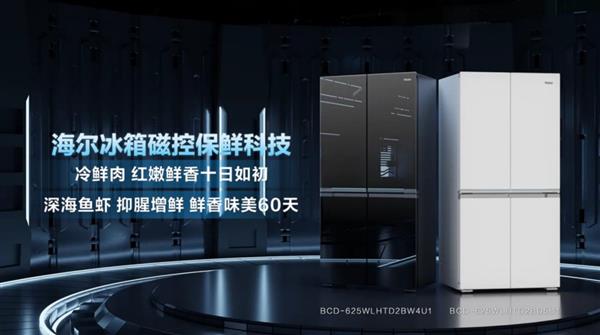 如第1天 为何海尔冰箱能做到爱游戏ayx冷冻60天新鲜就(图4)