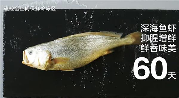 如第1天 为何海尔冰箱能做到爱游戏ayx冷冻60天新鲜就(图1)