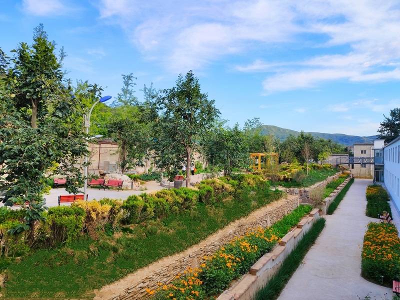 便利养老院优选｜昌平区金手杖国际养老公寓｜与价格剖析ayx爱游戏体育网页版入口2026最新｜脑梗护理交通(图8)