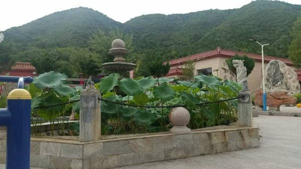 便利养老院优选｜昌平区金手杖国际养老公寓｜与价格剖析ayx爱游戏体育网页版入口2026最新｜脑梗护理交通(图29)