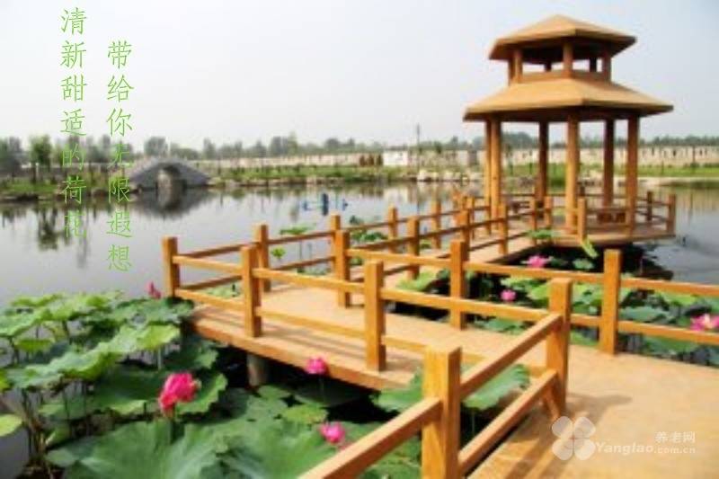 ｜光大汇晨科丰公寓、金融街街道照料中心｜参观入住攻略呈上爱游戏平台2026最新｜长护险可用临终关怀高端养老社区(图52)