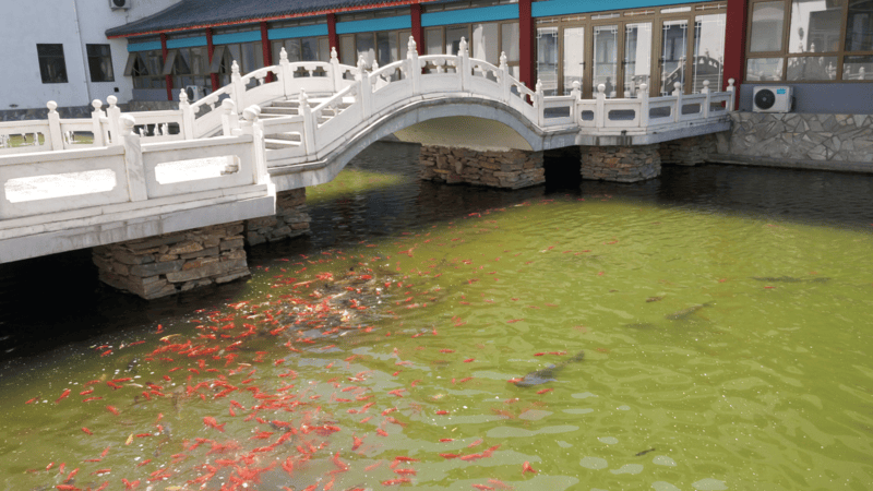 ｜光大汇晨科丰公寓、金融街街道照料中心｜参观入住攻略呈上爱游戏平台2026最新｜长护险可用临终关怀高端养老社区(图58)