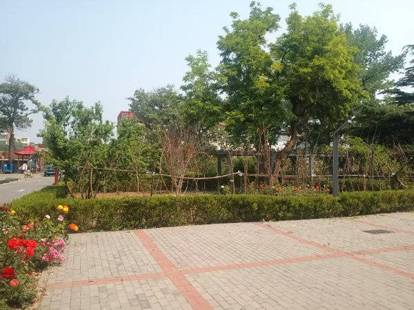 ｜光大汇晨科丰公寓、金融街街道照料中心｜参观入住攻略呈上爱游戏平台2026最新｜长护险可用临终关怀高端养老社区(图2)